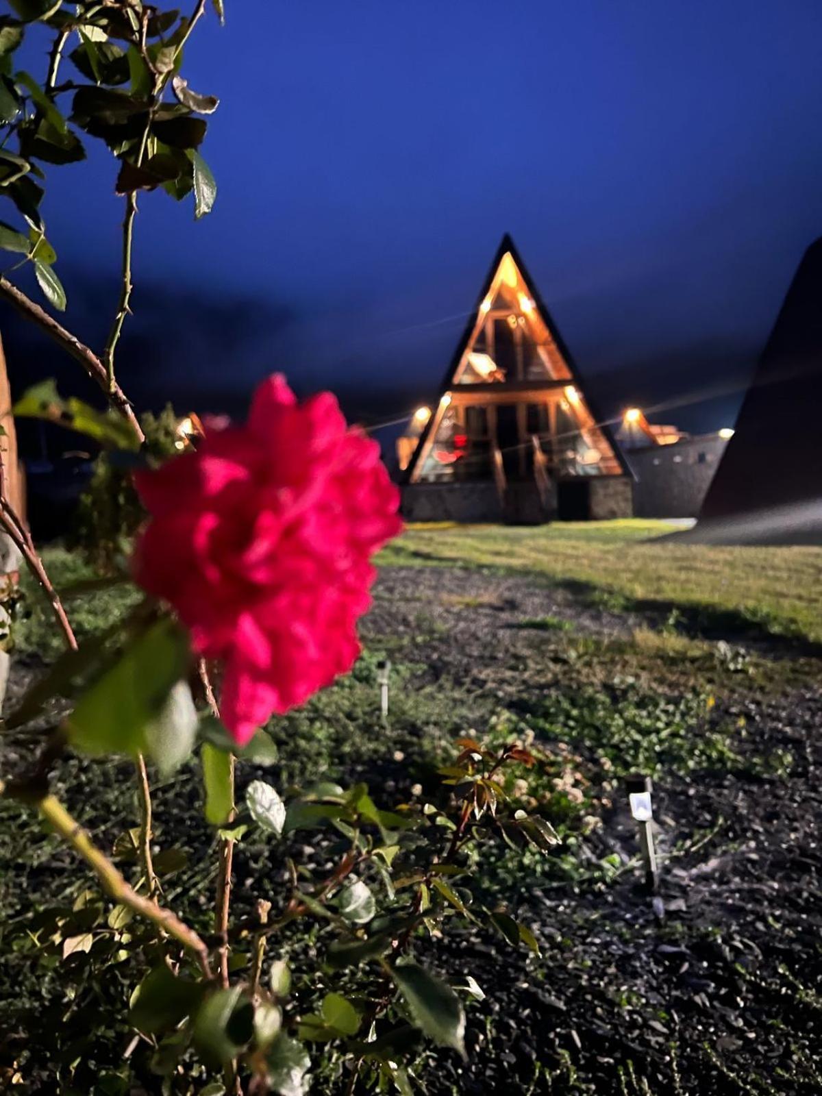Sanseco Cottage Kazbegi Εξωτερικό φωτογραφία
